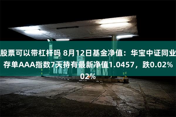 股票可以带杠杆吗 8月12日基金净值：华宝中证同业存单AAA指数7天持有最新净值1.0457，跌0.02%