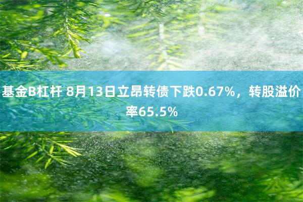 基金B杠杆 8月13日立昂转债下跌0.67%，转股溢价率65.5%