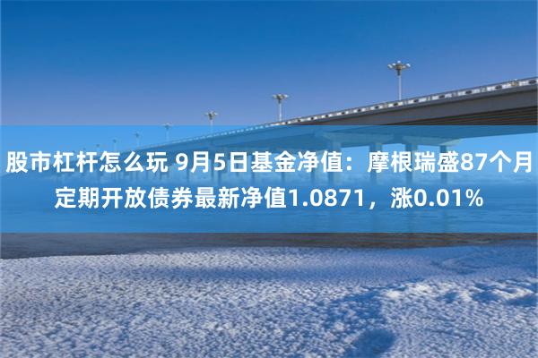 股市杠杆怎么玩 9月5日基金净值：摩根瑞盛87个月定期开放债券最新净值1.0871，涨0.01%