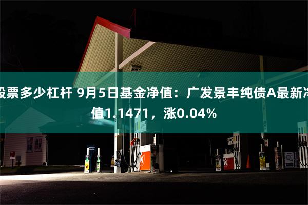 股票多少杠杆 9月5日基金净值：广发景丰纯债A最新净值1.1471，涨0.04%