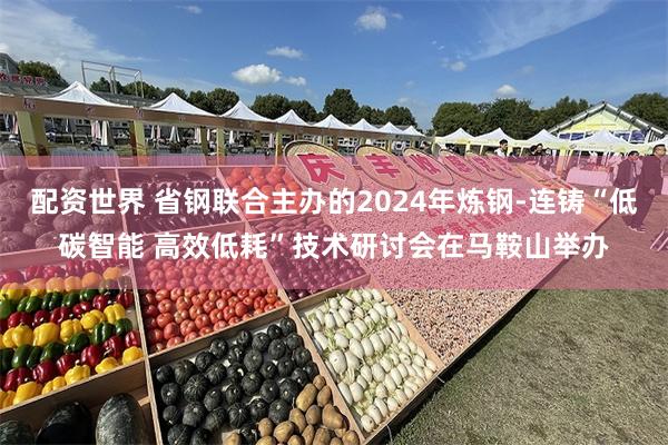 配资世界 省钢联合主办的2024年炼钢-连铸“低碳智能 高效低耗”技术研讨会在马鞍山举办