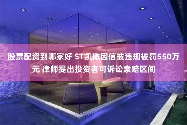 股票配资到哪家好 ST凯撒因信披违规被罚550万元 律师提出投资者可诉讼索赔区间