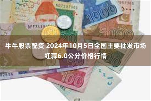 牛牛股票配资 2024年10月5日全国主要批发市场红蒜6.0公分价格行情