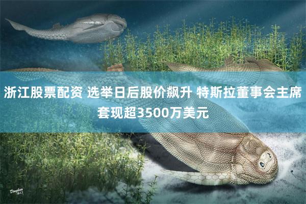 浙江股票配资 选举日后股价飙升 特斯拉董事会主席套现超3500万美元