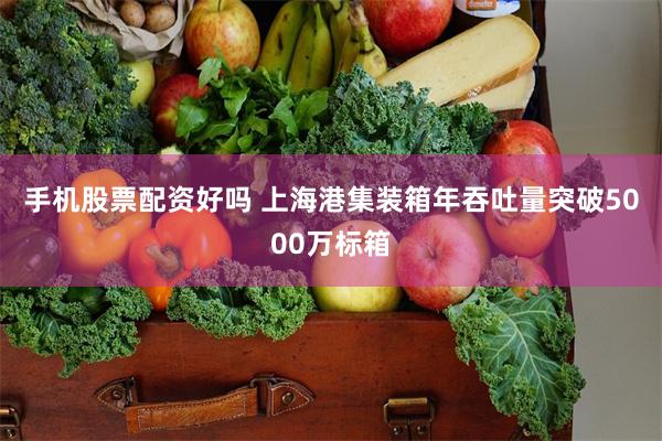 手机股票配资好吗 上海港集装箱年吞吐量突破5000万标箱