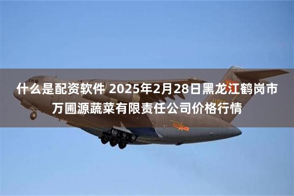 什么是配资软件 2025年2月28日黑龙江鹤岗市万圃源蔬菜有限责任公司价格行情