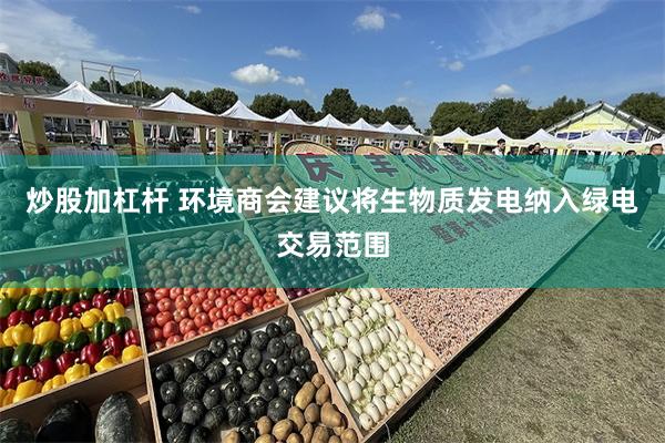 炒股加杠杆 环境商会建议将生物质发电纳入绿电交易范围